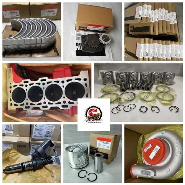 1721467672624.webp